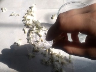 2、菠萝汽水,作作的撒白槐花