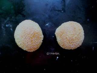 6、田园猪肉堡,入烤箱180度烤20分钟,取出放凉