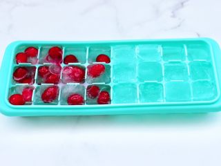 2、蔓越莓桑葚气泡水,把一半的蔓越莓果清洗后，放入冰格里，加入纯净水，放入冰箱冷冻。