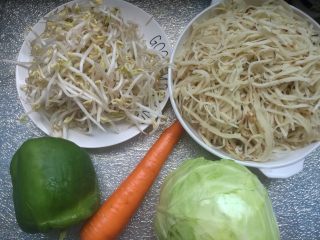 1、素味炒饼,准备材料。