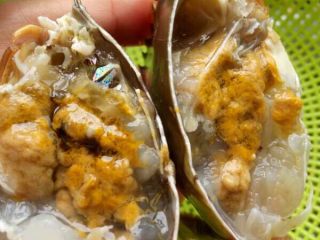 5、潮汕虾蟹排骨砂锅粥,去掉螃蟹不能食用的部分.大火煮开粥锅，和姜丝放进去煮.粥锅记得要时不时翻拌一下.