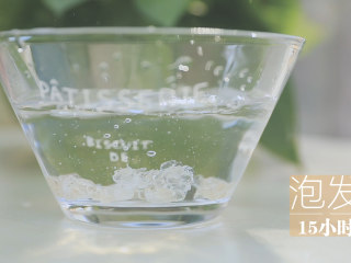 1、星空雪燕杯「厨娘物语」,15g雪燕放入500ml清水中泡发15小时,泡发至可以拉丝,中间没有结块。(泡发雪燕要放足够的水,期间可以换水,但也不可以泡发太久雪燕会融化)