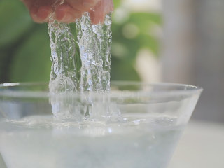 2、星空雪燕杯「厨娘物语」,15g雪燕放入500ml清水中泡发15小时,泡发至可以拉丝,中间没有结块。(泡发雪燕要放足够的水,期间可以换水,但也不可以泡发太久雪燕会融化)