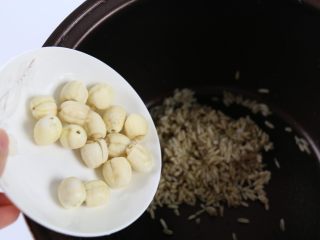 7、银耳莲子燕麦粥,加入莲子。