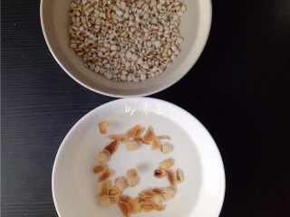 3、绿豆薏仁糖水,薏仁、百合、莲子洗净后，用清水浸泡；