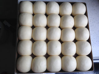 9、小面包（玉米油版）,放进烤箱二发（烤箱最下层放置盛水的烤盘），发到原先的两倍大