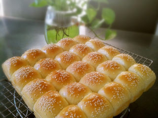 14、小面包（玉米油版）,成品图