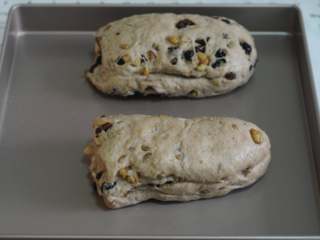 9、圣诞史多伦,将面团分成两份，摆在不沾烤盘里。