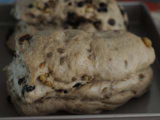 10、圣诞史多伦,二发至两倍大。