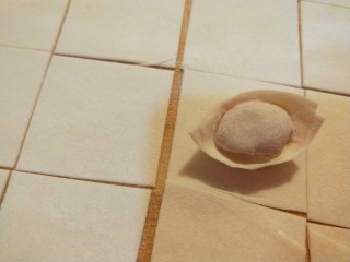 9、新文美食 骨汤三鲜馅混沌,就成一个元宝馄饨了。