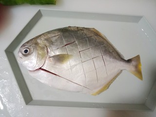 2、红烧金鲳鱼,金鲳鱼洗干净,然后切成网格状