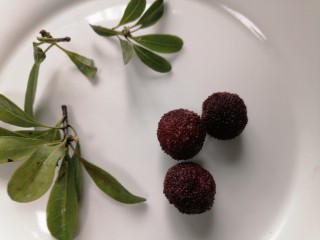 2、杨梅酒,将杨梅叶摘下来