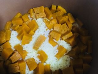 15、南瓜饭,煮饭键跳起，饭好了