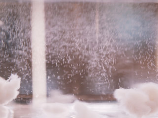 3、木瓜雪蛤膏,冰糖和水银耳一起煲溶，然后放入雪蛤膏煲半小时