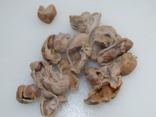 8、香辣凉拌鸡胗,煮好的鸡胗取出沥水。