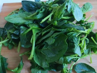 1、新文美食  番茄打卤菠菜面,菠菜去根洗干净。