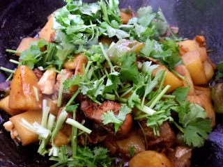 8、大盘鸡的做法及吃时注意事项,加香菜出锅。当然也可不加香菜，我是为了增加绿叶蔬菜的量。