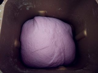 6、紫玫瑰馒头,用面包机揉匀后执行发酵程序