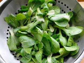 4、孜然牛肉炒拉条 家常面条百吃不厌的美味做法,小青菜掰成一片片的小叶子,冲洗干净青菜上边粘带的泥土,控干水分备用。