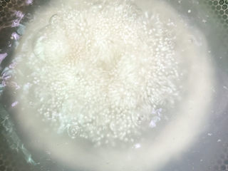 6、西米的完美煮法,⚠️【搅拌】，避免糊锅