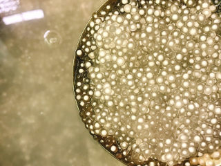 12、西米的完美煮法,焖10分钟后的状态