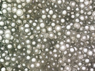 13、西米的完美煮法,已经是半透明了