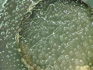 20、西米的完美煮法,小白点完全不见了