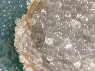 21、西米的完美煮法,这样就算煮好了