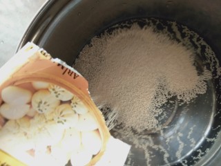 1、花样面食-鞭炮猪,把酵母和白糖倒入适量的温水中