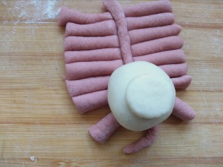 19、花样面食-鞭炮猪,如图摆放