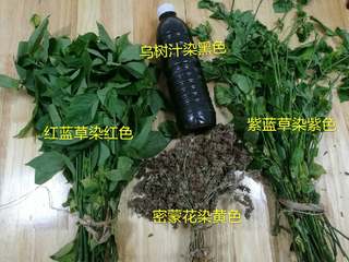 1、五彩饭,五色染色原料:乌米汁、干密蒙花、红蓝草、紫蓝草、白色就是米的本色