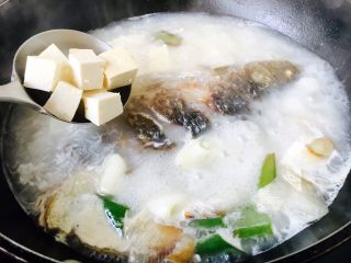 6、鲫鱼豆腐汤,将豆腐块放入鱼汤锅里，大火炖10分钟左右。
