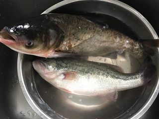 2、剁椒鱼头,当天买了二条鱼，鲈鱼清蒸后送给老妈的，因为想吃剁椒鱼头了、所以又买了条大花鲢，鱼身则做了焗鱼块