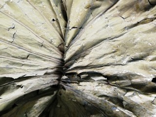 26、荷香糯米排骨,              荷叶铺在蒸笼里