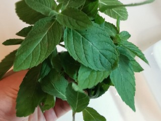 3、茉莉花冰,薄荷叶子。