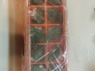 6、茉莉花冰,盖好密封，放冰箱里冰一晚上。