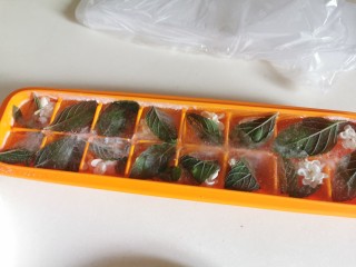 7、茉莉花冰,结成冰块了。