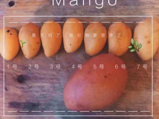 3、杨枝甘露,排排坐