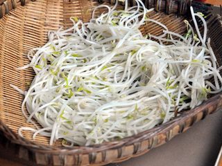 7、龙须凉面,豆芽洗净烫熟,晾凉备用。