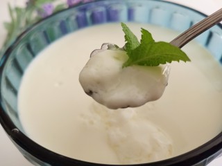 14、姜撞奶,开动了！