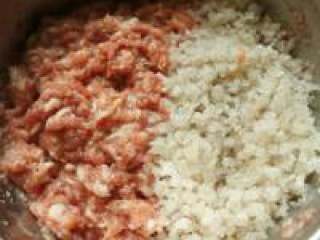 3、自己动手做生煎包子,猪肉和皮冻的比例是1：1。