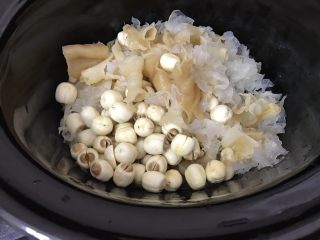 4、花胶莲子银耳糖水,接着把泡好的银耳,花胶,莲子都捞起沥干水后,全部放入汤锅里