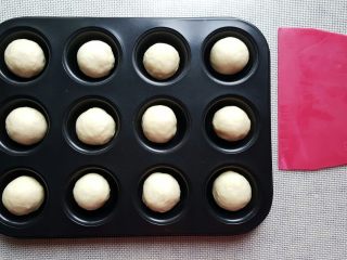 7、迷你汉堡, 这个模具十分小,旁边以刮板作为参考量,大约30*20cm。把滚圆的面包胚放入模具中进行二次发酵。