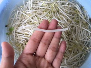 3、虾仁什蔬炒面,绿豆芽泡水洗净 掐头去尾 这一步可以省略，我有强迫症 所以要掐头去尾（捂脸）