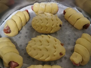 10、花样馒头之腊肠卷、小刺猬,放在锅里，点火热一会再关火，继续发酵十分钟，然后再开大火蒸10分钟，关火闷五分钟即可。