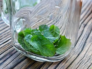 2、蓝莓Mojito鸡尾酒,薄荷叶清洗干净,放入杯中