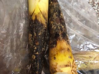 1、春笋焖面,新鲜的竹笋