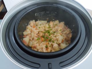 15、电饭煲食谱合集,然后盖上锅盖 选择煮饭功能。等煮好了在撒一把葱进去就可以开吃了