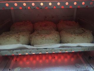 15、燕麦芝士贝果～,放入预热好的烤箱，200度20min左右，注意观察圆胖子表面，如果喜欢烤的颜色重一些就延长一点时间，或者后期提升温度～