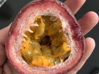 2、百香果特饮,沿顶部用小刀切开，注意⚠️别伤到手。买百香果会赠送专用工具。